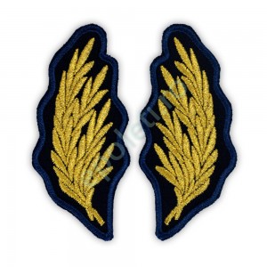 Petlite ofiteri superiori Penitenciar (ANP)