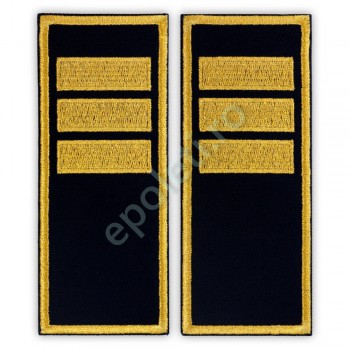 Grade Agent Sef Adjunct Penitenciar (ANP)