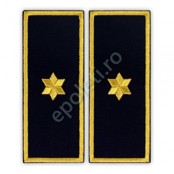 Grade Subcomisar Penitenciar (ANP)