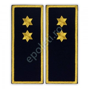 Grade Inspector Penitenciar (ANP)