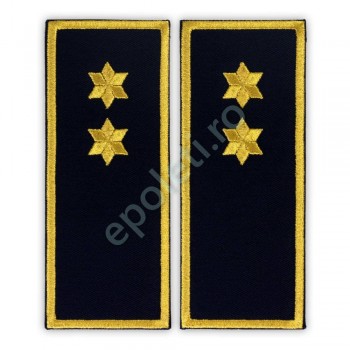 Grade Inspector Penitenciar (ANP)