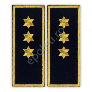 Grade Inspector Principal Penitenciar (ANP)