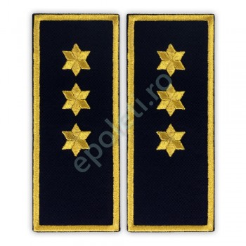 Grade Inspector Principal Penitenciar (ANP)