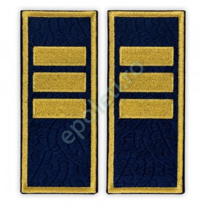 Grade agent sef adjunct penitenciar Brodate