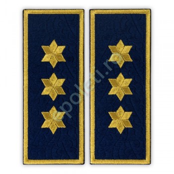 Grade brodate Comisar Sef Penitenciar (ANP)