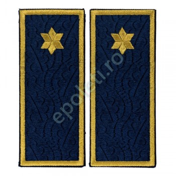 Grade brodate Subinspector Penitenciar (ANP)