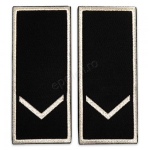 Grade Functionar Public Principal Politia Locala 