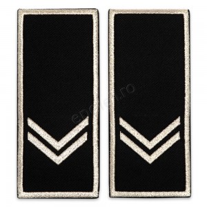 Grade Functionar Public Superior Politia Locala