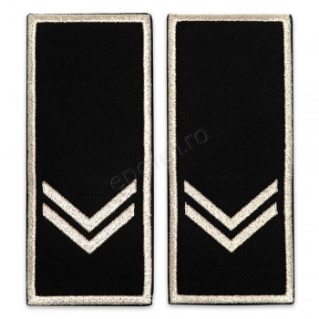 Grade Functionar Public Superior Politia Locala