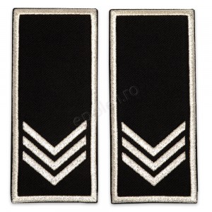 Grade Sef Birou - Compartiment Politia Locala