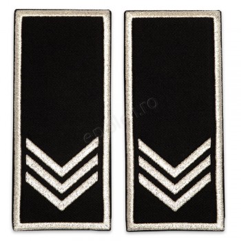 Grade Sef Birou - Compartiment Politia Locala