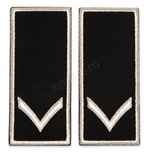 Grade Functionar Public Principal Politia Locala V2