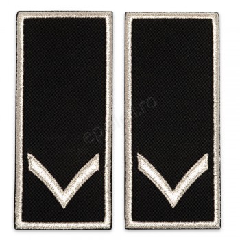 Grade Functionar Public Principal Politia Locala V2