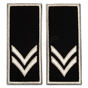 Grade Functionar Public Superior Politia Locala V2