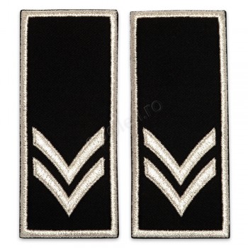 Grade Functionar Public Superior Politia Locala V2