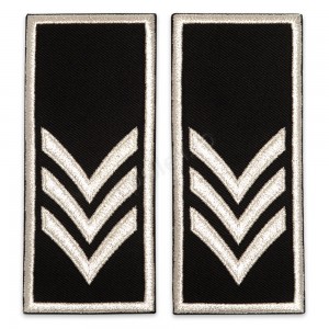 Grade Sef Birou - Compartiment Politia Locala V2