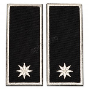 Grade Sef Serviciu Politia Locala