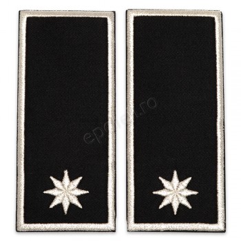 Grade Sef Serviciu Politia Locala