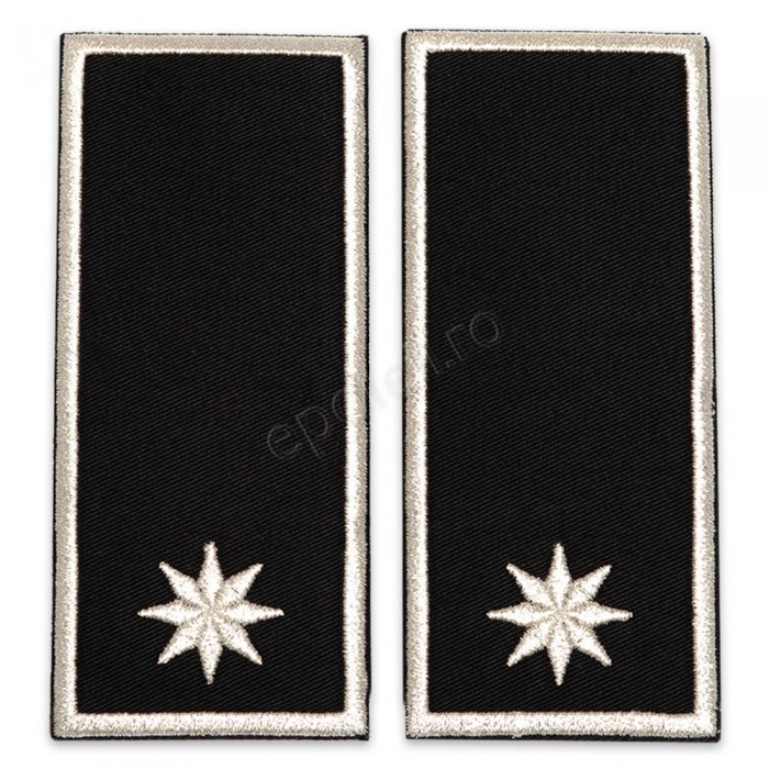 Grade Sef Serviciu Politia Locala