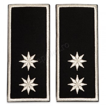 Grade Adjunct Sef (director executiv adjunct) Politia Locala