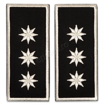 Grade Sef Politia Locala (director executiv)