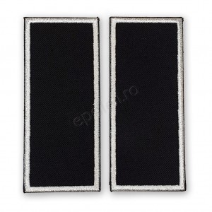 Grade Funcționar Public Asistent Politia Locală