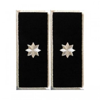 Grade Sef Serviciu Politia Locala V2