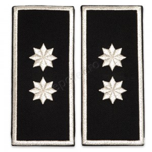 Grade Adjunct Sef (director executiv adjunct) Politia Locala V2