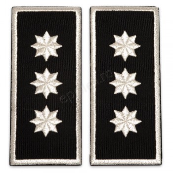 Grade Sef Politia Locala (director executiv) V2