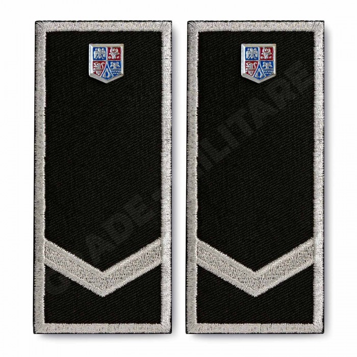 Grade Politia Locala V3