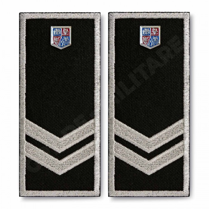 Grade Politia Locala V3