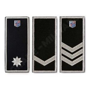 Grade Politia Locala V3