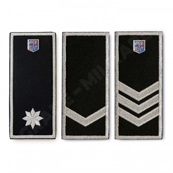 Grade Politia Locala V3