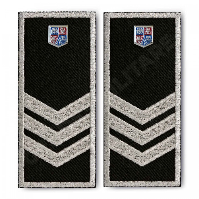 Grade Politia Locala V3