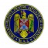 Emblema DSU brodata