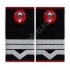Grade Maistru Militar clasa III Pompieri IGSU