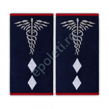 Asistent medical șef la nivel județean sau al municipiului București cu atribuții pe plan regional