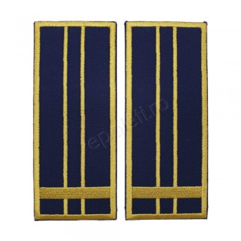 Grade Inspector Vamal Asistent