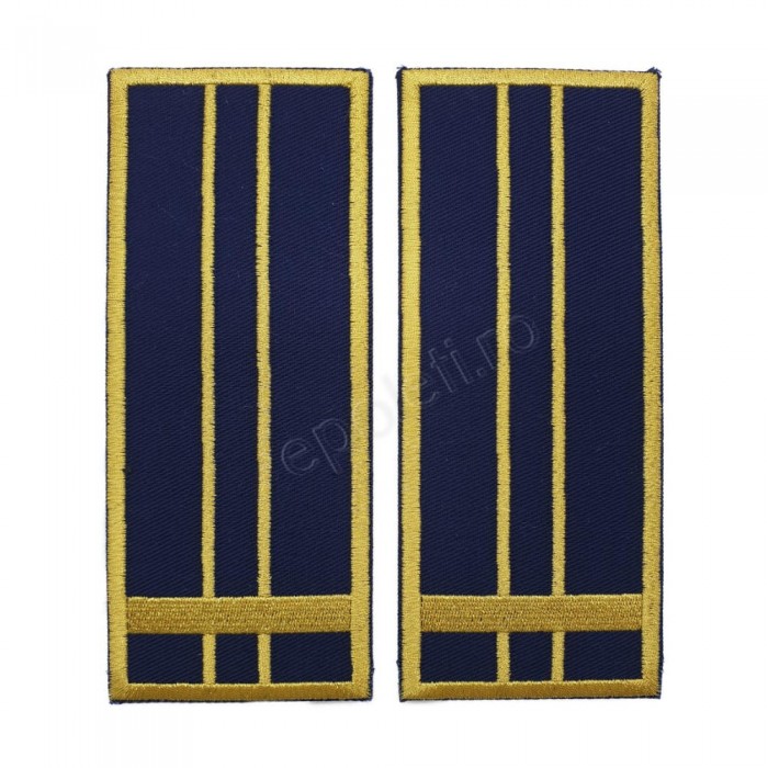 Grade Inspector Vamal Asistent