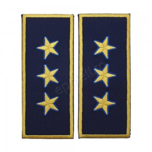 Grade Director General Adjunct Vama