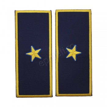 Grade Director Executiv Adjunct Vama