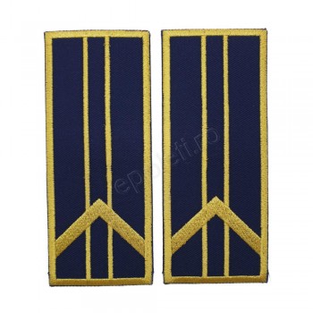 Grade Controlor - Referent Vamal Asistent