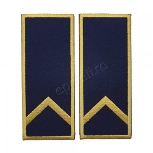 Grade Controlor - Referent Vamal Debutant